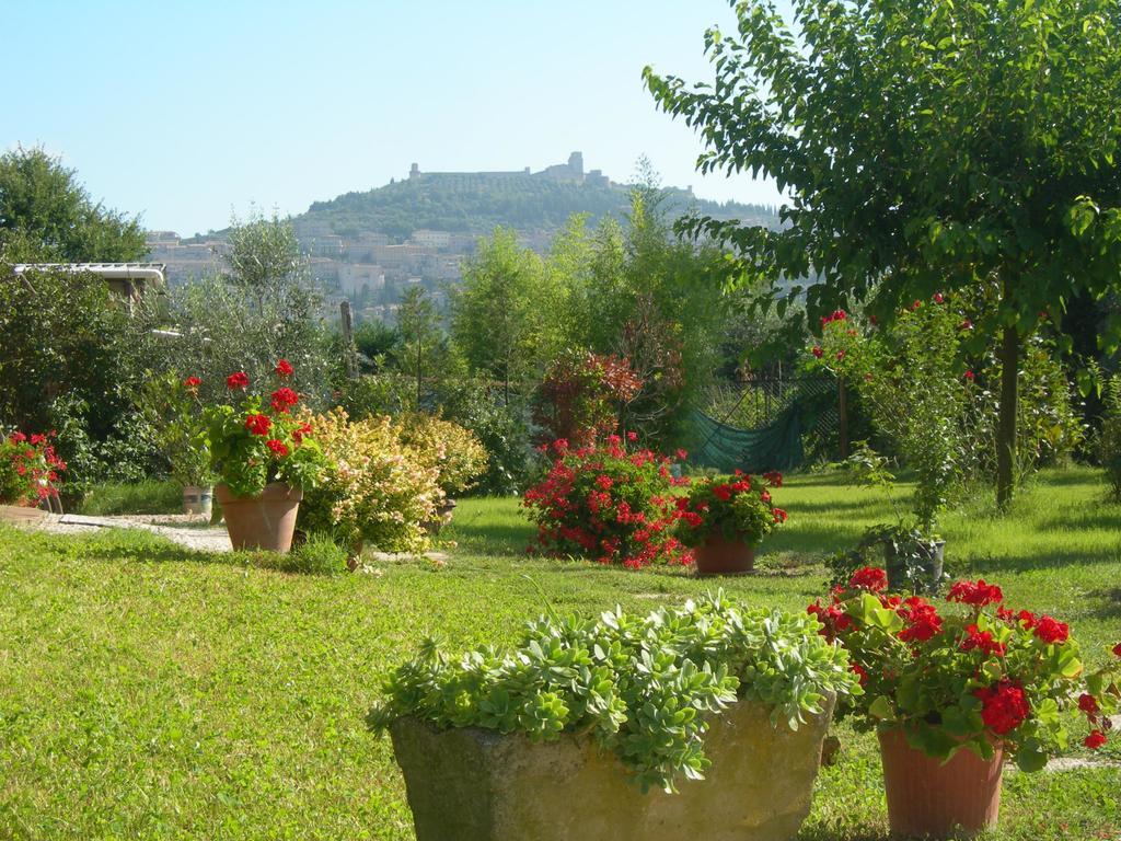 Vista Assisi Acomodação com café da manhã Exterior foto