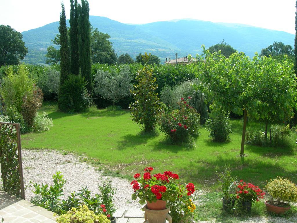 Vista Assisi Acomodação com café da manhã Exterior foto