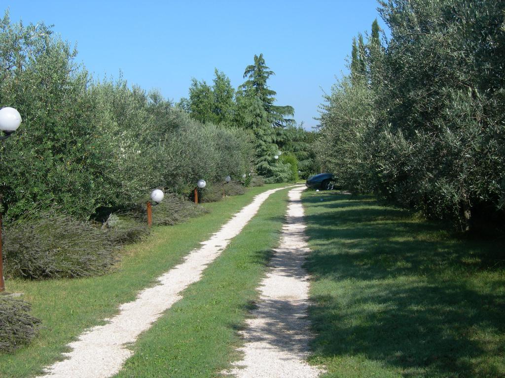 Vista Assisi Acomodação com café da manhã Exterior foto